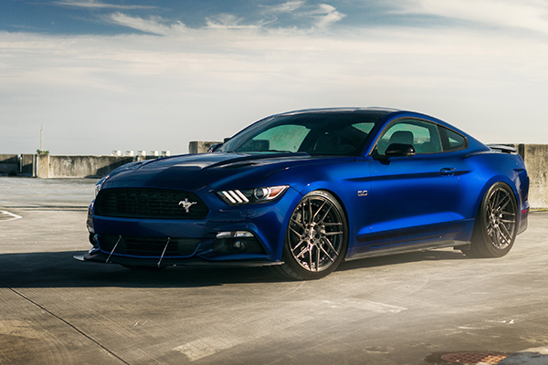 详尽指南：农业银行额度查询方法解析