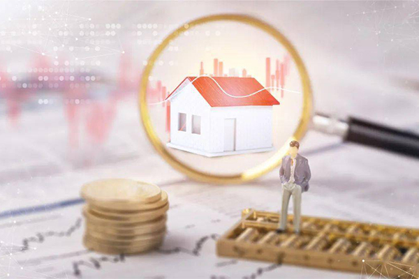 揭示黑贷款公司的非法金融活动真相